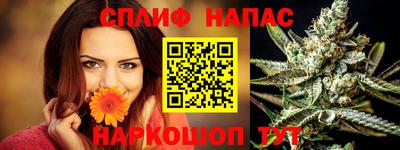 прущие грибы Гай
