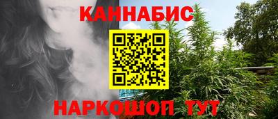 дмт Гатчина