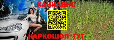 дмт Гатчина
